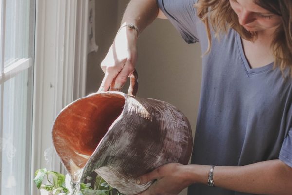 woman watering plant beside window