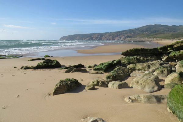 brown sand beach with green moss and rocks