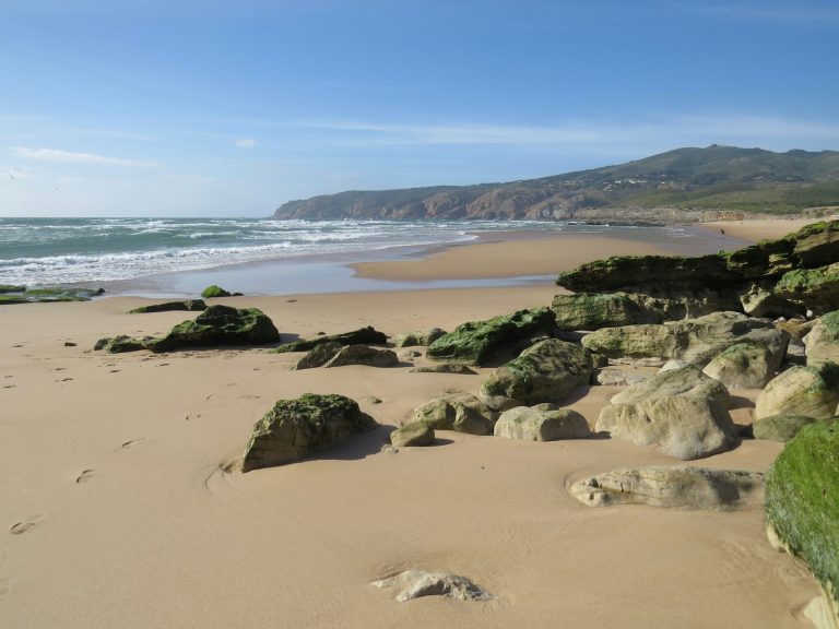 brown sand beach with green moss and rocks