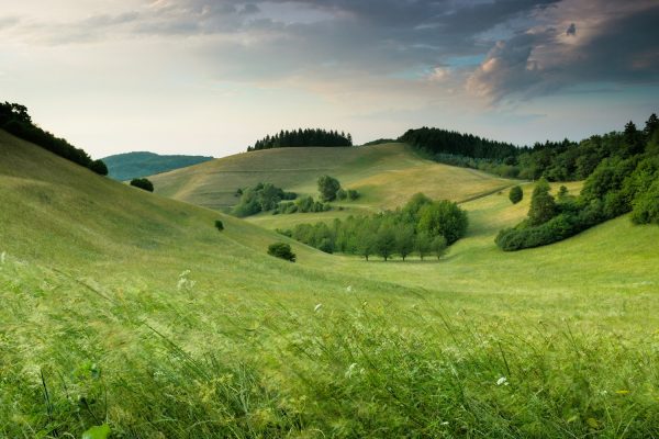 green hills with forest under cloudy sky during daytime